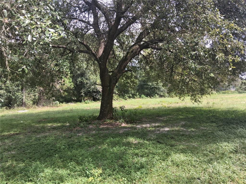 9278 CR 734, CENTER HILL, FL — photo 3 of 13