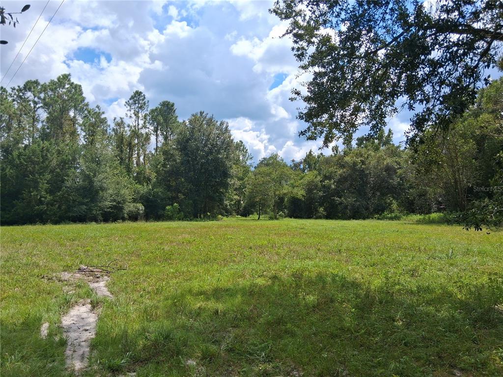 9278 CR 734, CENTER HILL, FL — photo 4 of 13