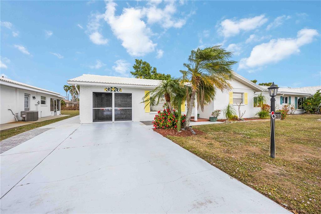 3801 CHINABERRY