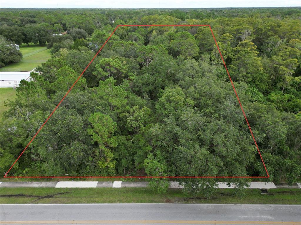 An aerial view shows a wooded, rectangular plot of land bordered by a paved road — 2039 N 6TH ST, ORLANDO, FL