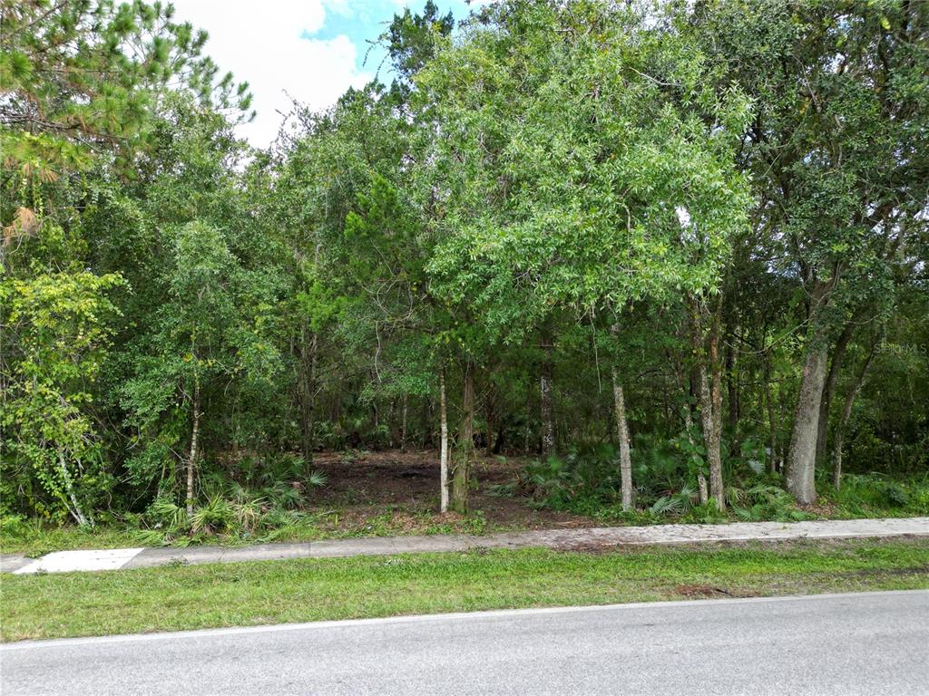 A vacant, wooded residential lot sits behind a concrete sidewalk and paved road — 2039 N 6TH ST, ORLANDO, FL