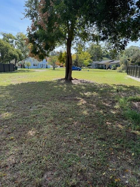 A large tree stands in the center of a grassy, open residential lot — EAST, CLERMONT, FL