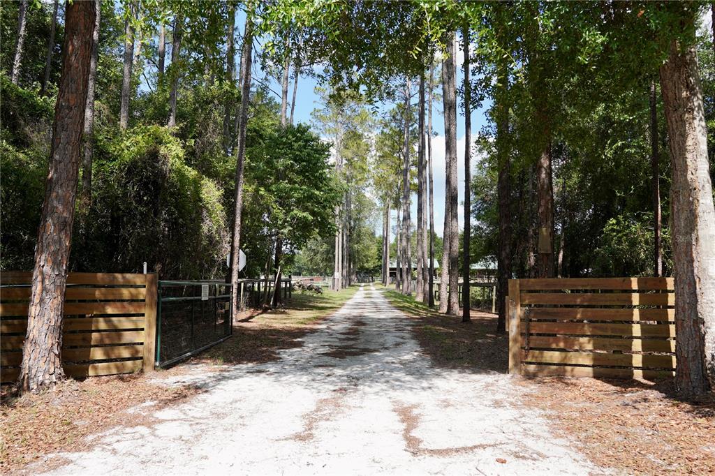 A wooden porch features a rocking chair, a dog, and three metal planters in front — 7191 NE 150TH AVENUE, WILLISTON, FL
