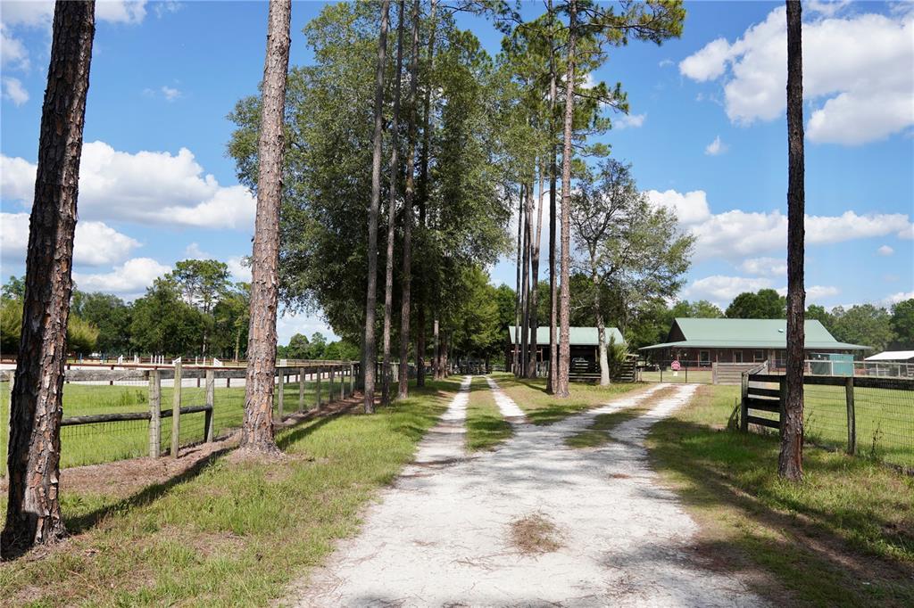 A rural property features a wooden house and a detached barn under a blue sky — 7191 NE 150TH AVENUE, WILLISTON, FL