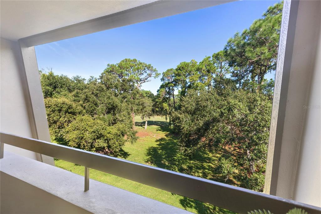 36750 US HIGHWAY 19  N #20-307 UNIT 307, PALM HARBOR, FL — photo 5 of 46