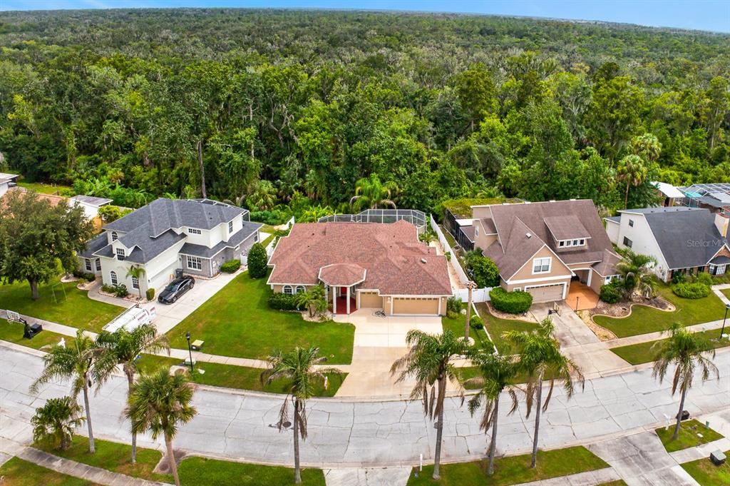 An aerial view shows three suburban houses with driveways and lawns bordering a dense forest — 2007 RIVER CROSSING DRIVE, VALRICO, FL