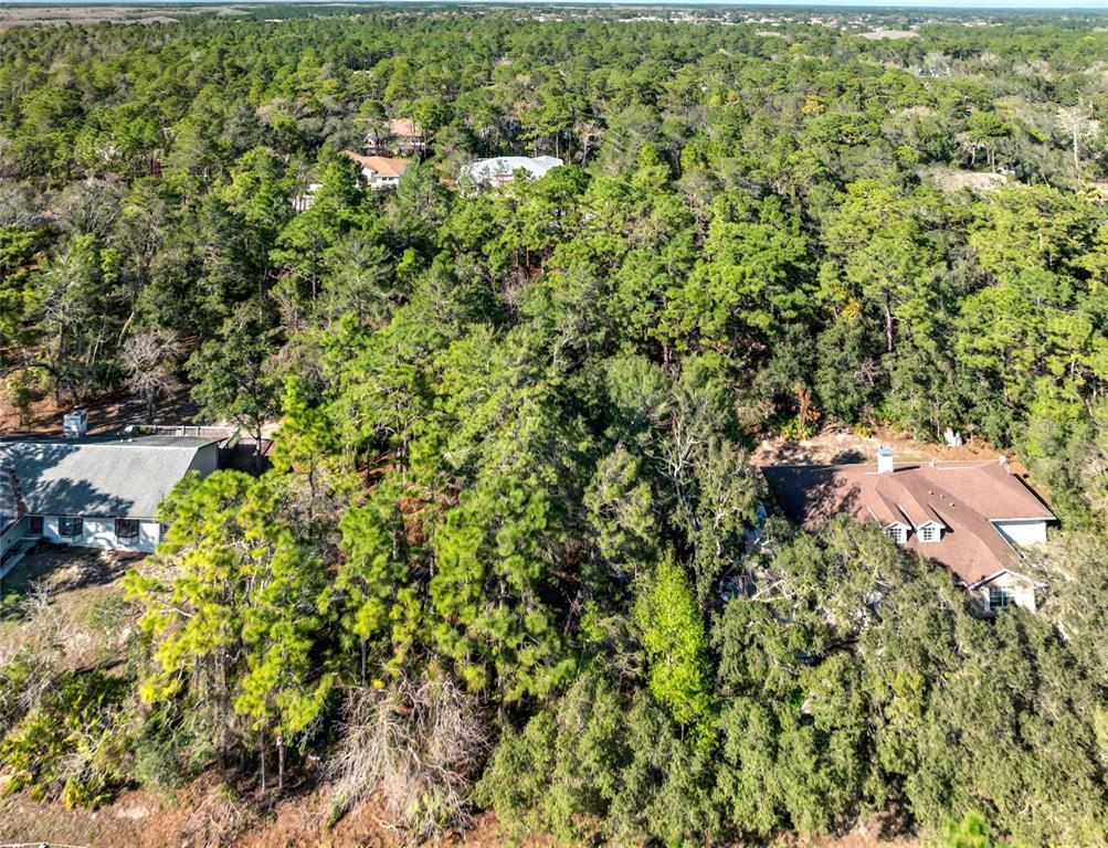 An aerial view shows two houses surrounded by a dense forest of pine trees — 9003 GLENARM WAY, WEEKI WACHEE, FL