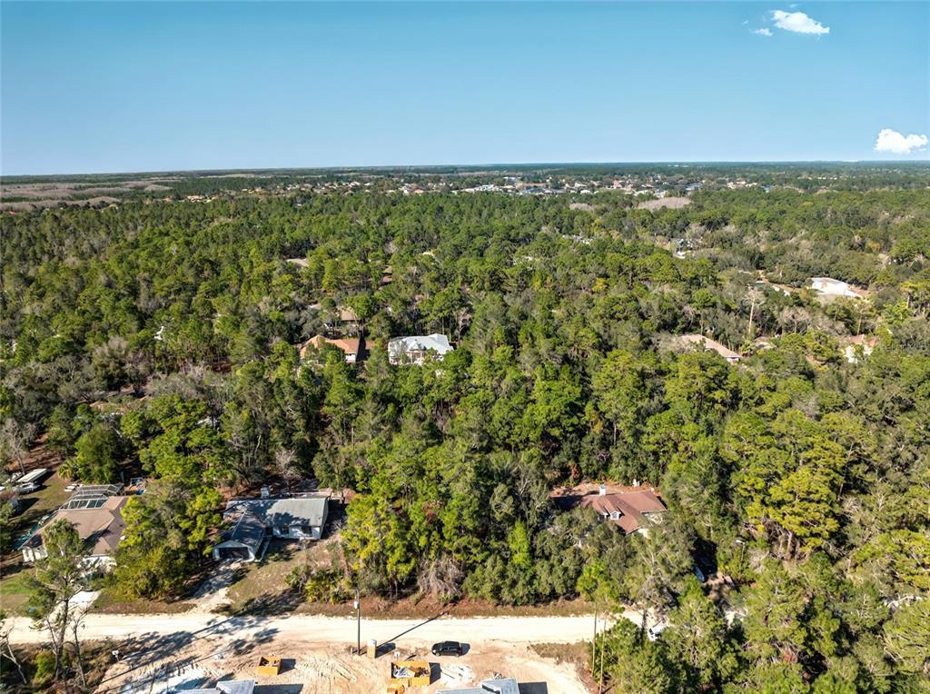 An aerial view shows several houses nestled within a dense, wooded residential area — 9003 GLENARM WAY, WEEKI WACHEE, FL