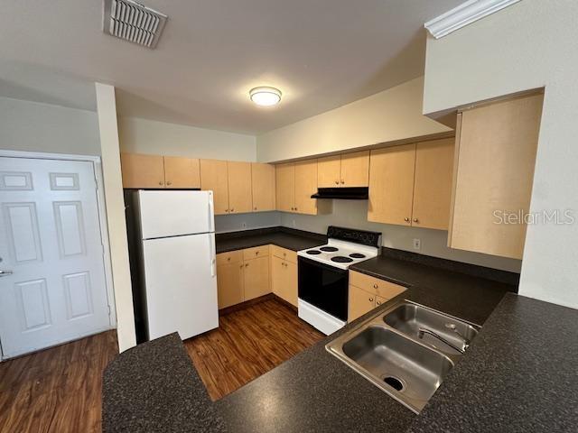 727 SIENA PALM DRIVE, CELEBRATION, FL — photo 4 of 20