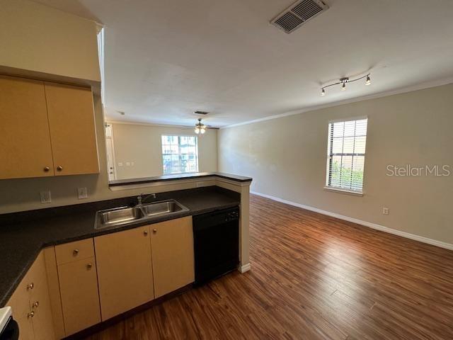 727 SIENA PALM DRIVE, CELEBRATION, FL — photo 5 of 20