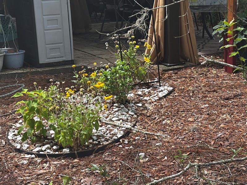 A garden bed with yellow flowers and white rocks sits in a yard with pine needles — 14105 253RD AVENUE ROAD NE UNIT 392, FORT MC COY, FL