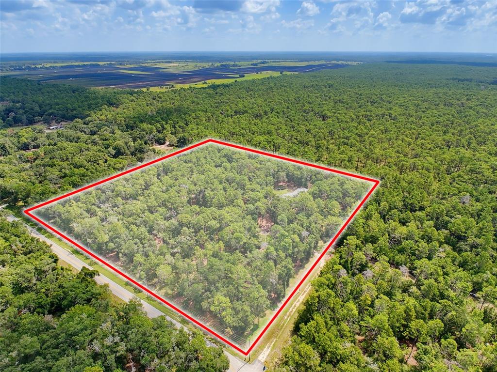 An aerial view shows a square plot of wooded land outlined in red — 26311 WILLOW STREET, BROOKSVILLE, FL