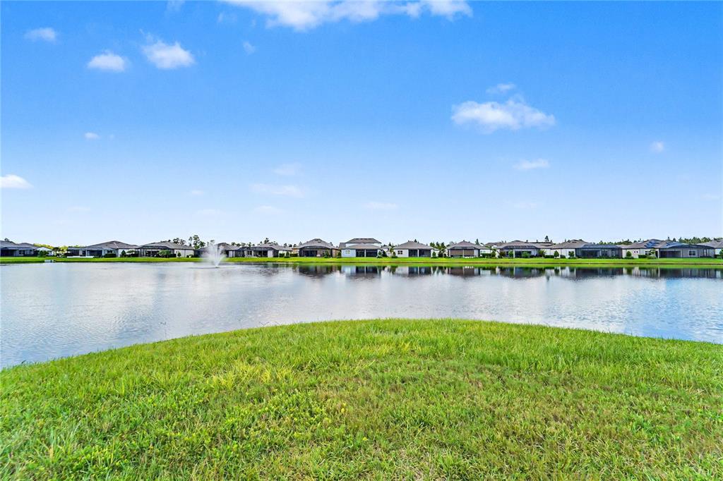 20544 SEA GLASS CIRCLE, LAND O LAKES, FL — photo 3 of 30
