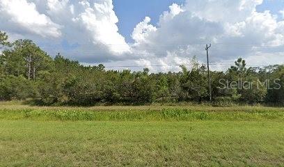 A grassy field leads to a dense line of trees under a cloudy blue sky — 20498 E COLONIAL DRIVE, CHRISTMAS, FL