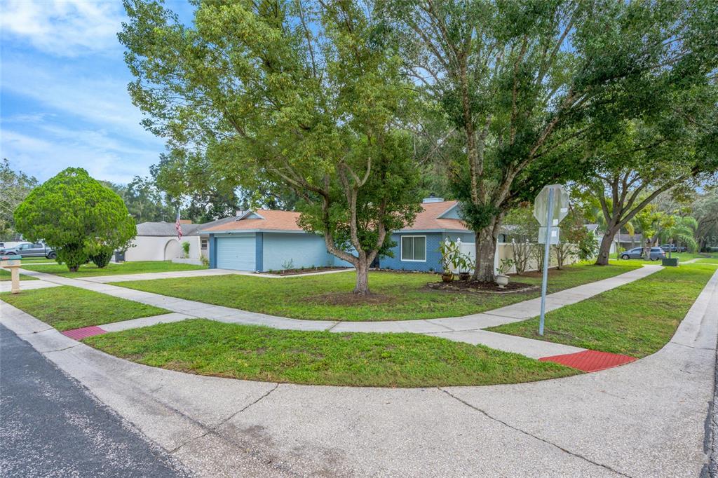 A blue single-story house with a two-car garage sits on a corner lot with trees — 17717 CRANBROOK DRIVE, LUTZ, FL