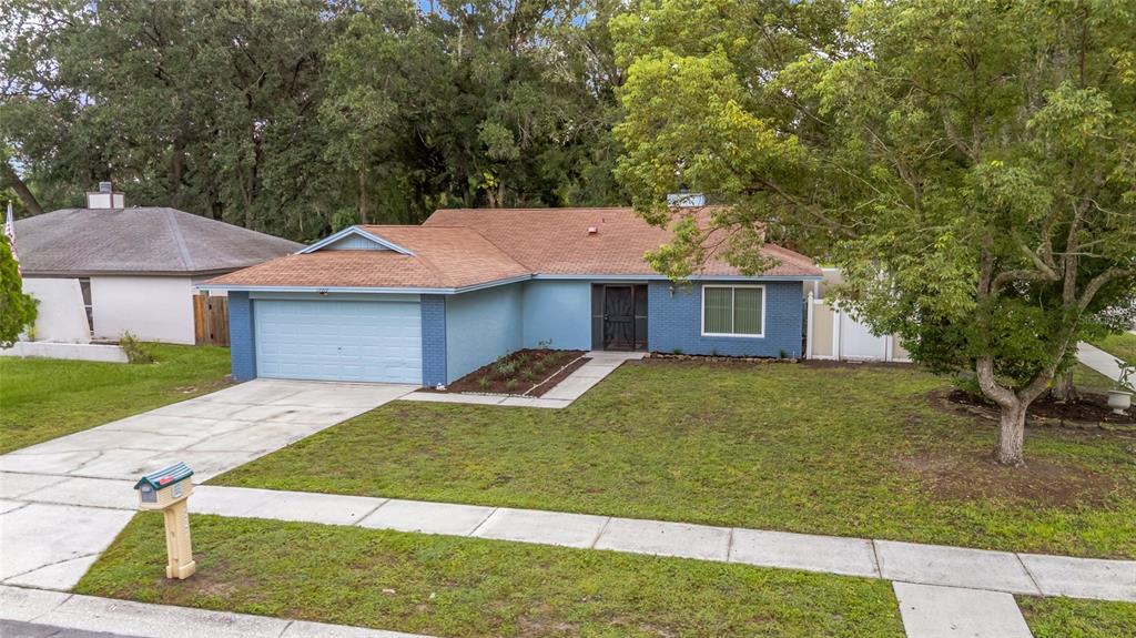 A blue single-story house with a brown shingled roof, two-car garage, and a front lawn — 17717 CRANBROOK DRIVE, LUTZ, FL