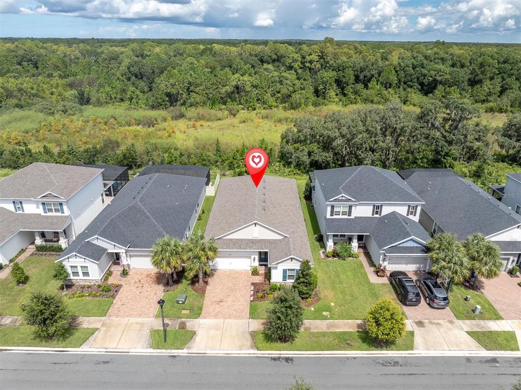 13659 STANSIL AVENUE, ODESSA, FL — photo 2 of 30