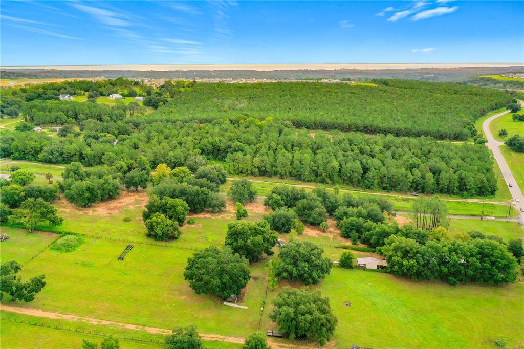 An aerial view of a large, grassy rural property featuring scattered trees and dense woods — 13131 COUNTY ROAD 561A, CLERMONT, FL