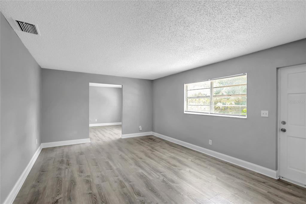 An empty living room features gray walls, light wood-look flooring, and a white door — 1615 E SITKA STREET, TAMPA, FL