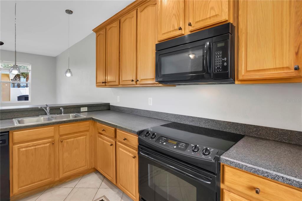 14766 PEEKSKILL DRIVE, WINTER GARDEN, FL — photo 3 of 30
