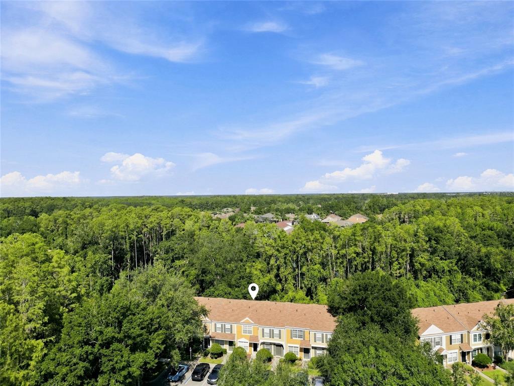 An aerial view shows a multi-unit townhouse building surrounded by dense green trees — 1339 COSTA MESA DRIVE, WESLEY CHAPEL, FL