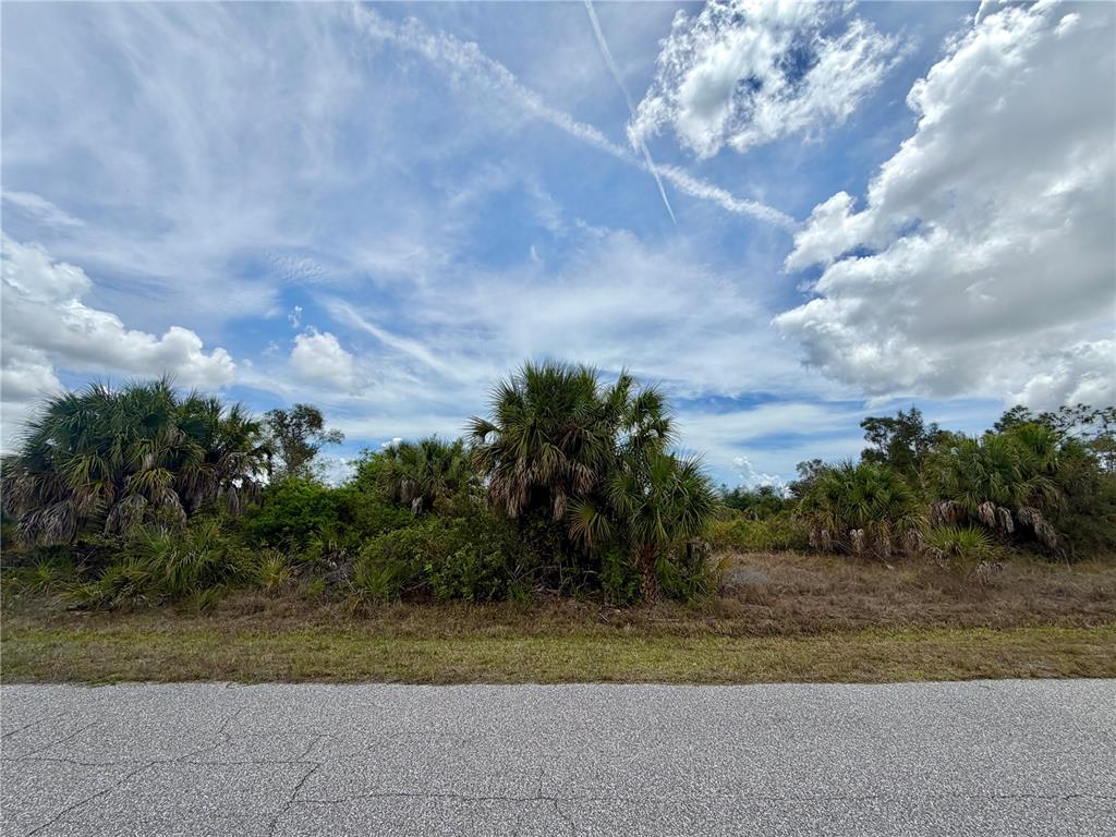 A vacant, overgrown lot with palm trees and brush sits beside a paved road — 4170 AMOROSO STREET, PORT CHARLOTTE, FL