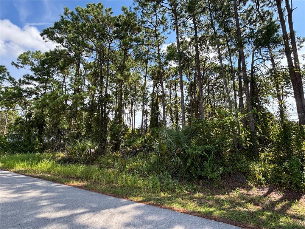 1073 HARLINGEN ROAD SW, PALM BAY, FL — photo 2 of 5