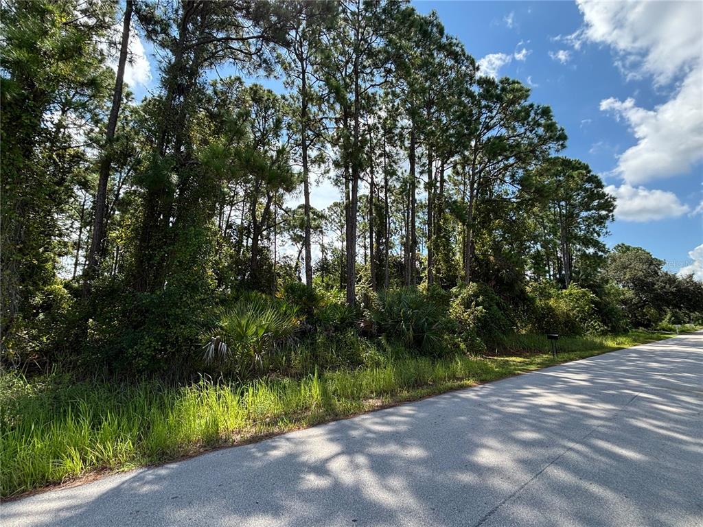 1073 HARLINGEN ROAD SW, PALM BAY, FL — photo 3 of 5