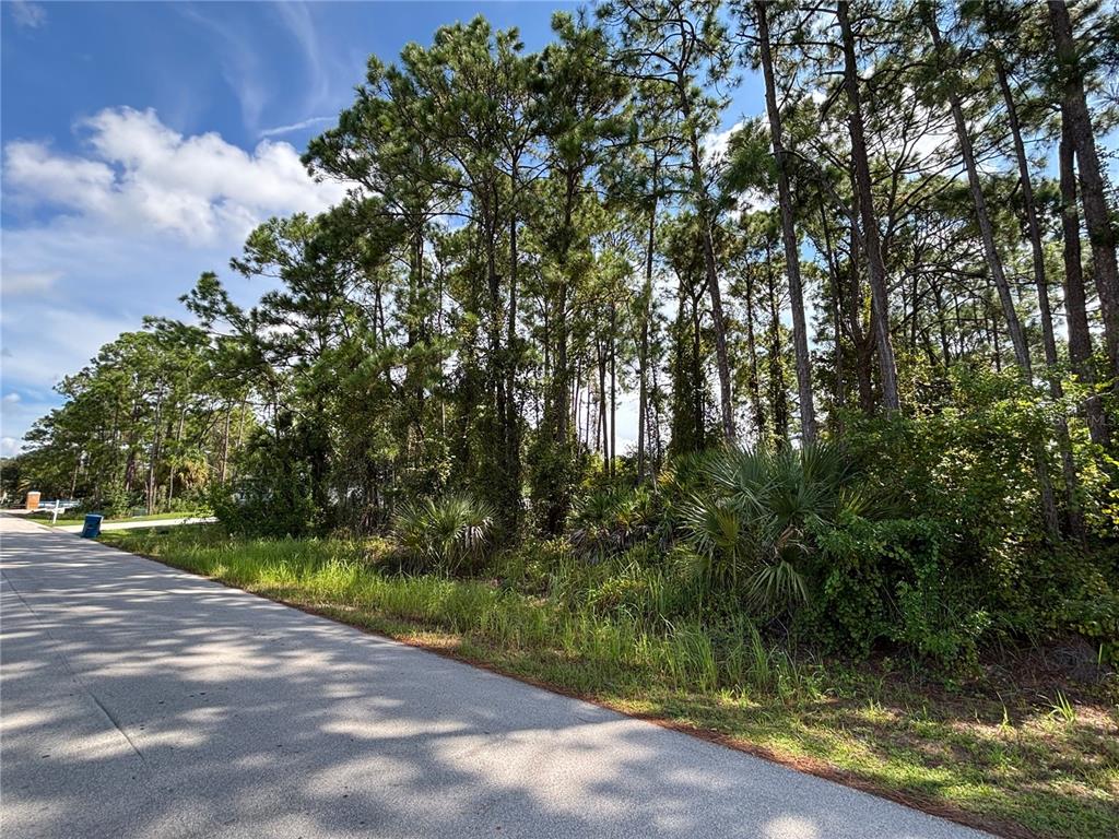 1073 HARLINGEN ROAD SW, PALM BAY, FL — photo 4 of 5