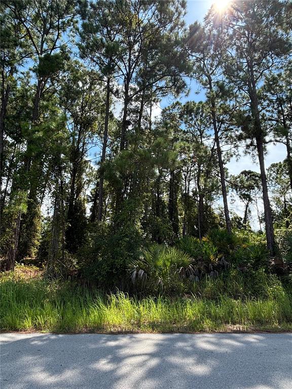1073 HARLINGEN ROAD SW, PALM BAY, FL — photo 5 of 5