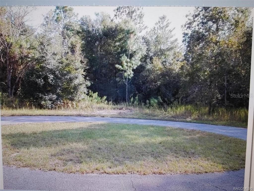 4401 N LENA DRIVE, BEVERLY HILLS, FL — photo 4 of 11
