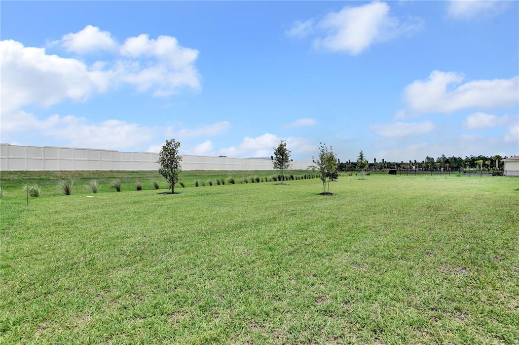 A large, grassy backyard features a white privacy fence and several young trees — 587 KNOTTED BIRCH AVENUE, ST AUGUSTINE, FL