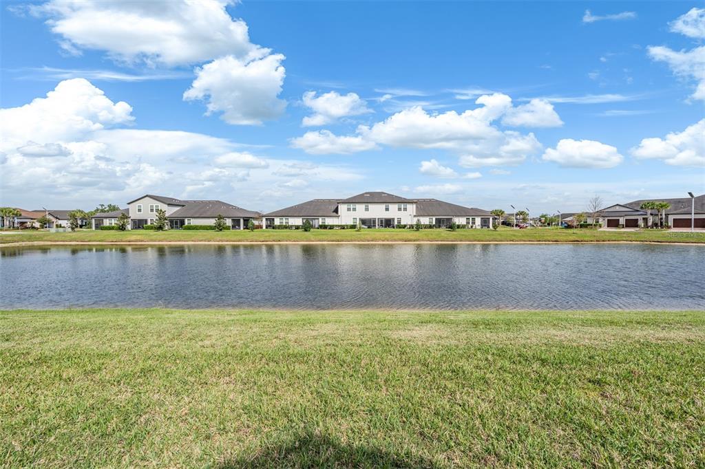 A view of a pond with residential houses in the background under a blue sky — 10191 ECHO DOCK LOOP, SAN ANTONIO, FL