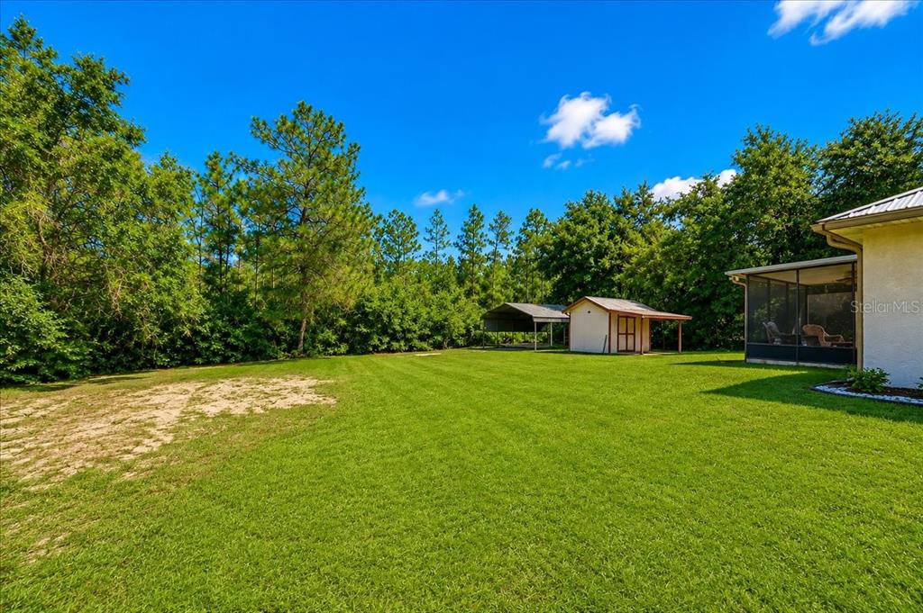 A grassy backyard features a shed, a carport, and a screened-in porch on a house — 21875 NE 135TH LANE, FORT MC COY, FL