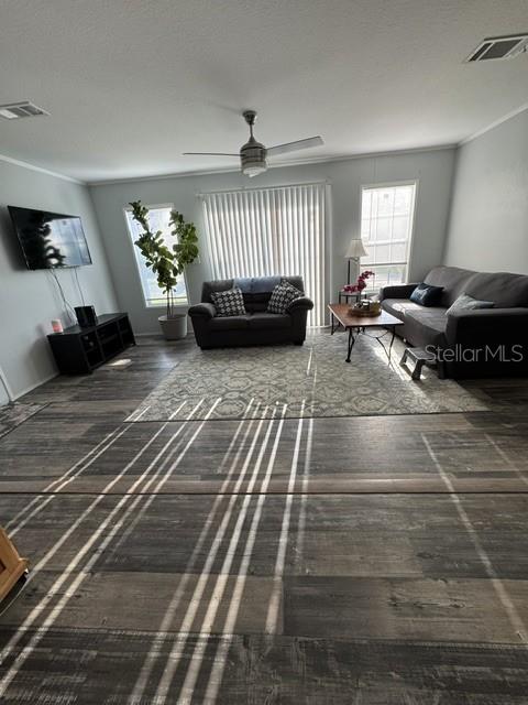 A living room features gray wood-look flooring, a ceiling fan, a sofa, and a television — 8314 EVERGREEN AVENUE, BROOKSVILLE, FL