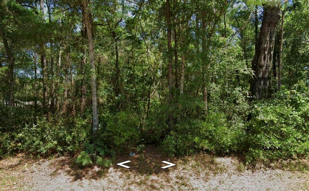 3403 E ROGERS STREET, INVERNESS, FL — photo 4 of 7