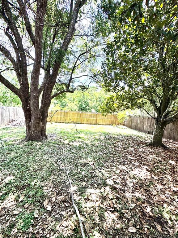 A backyard features two large trees, a wooden fence, and a ground covered in leaves — 2776 RIVER RIDGE DRIVE, ORLANDO, FL
