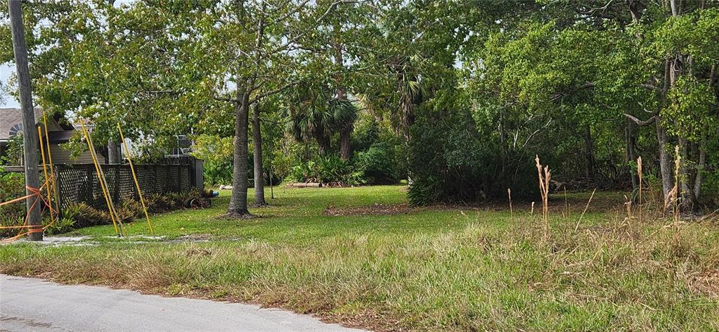 A grassy, wooded vacant lot sits adjacent to a fenced residential property — LOT 285 CUTLASS DRIVE, HUDSON, FL