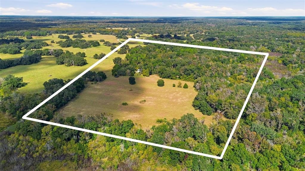 An aerial view shows a large, rectangular plot of land featuring a grassy field and trees — 5505 CR 634S, BUSHNELL, FL