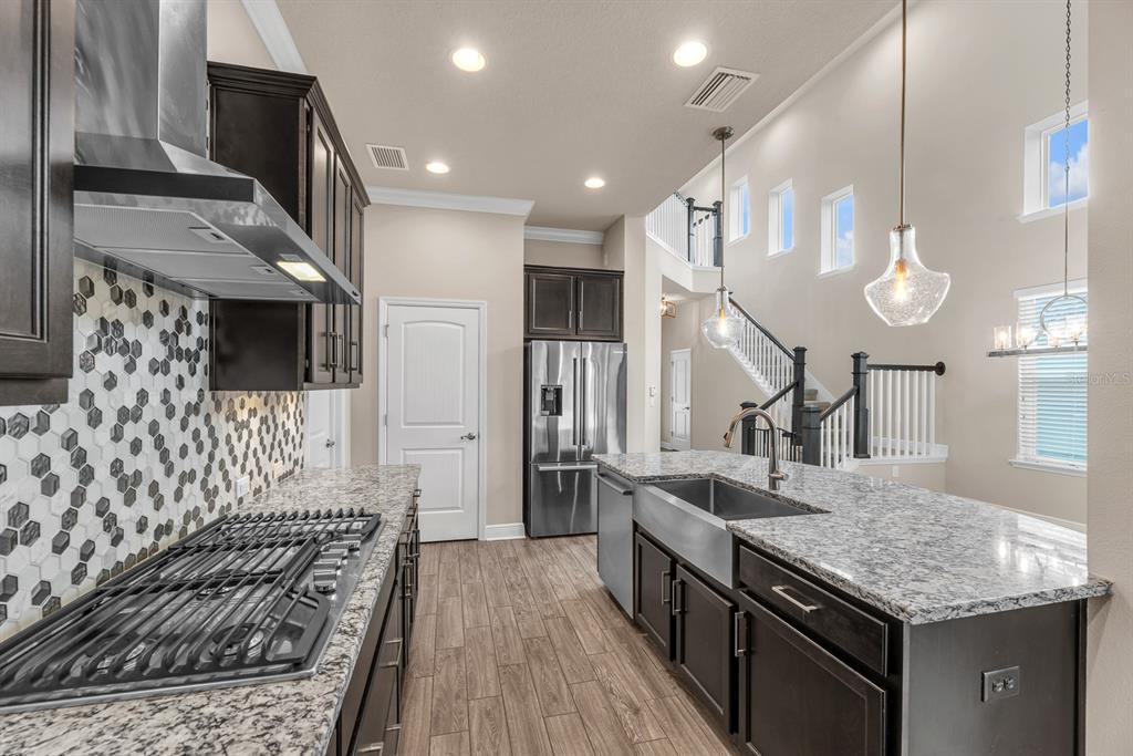 14116 NATURES RESERVE DRIVE, LITHIA, FL — photo 3 of 30