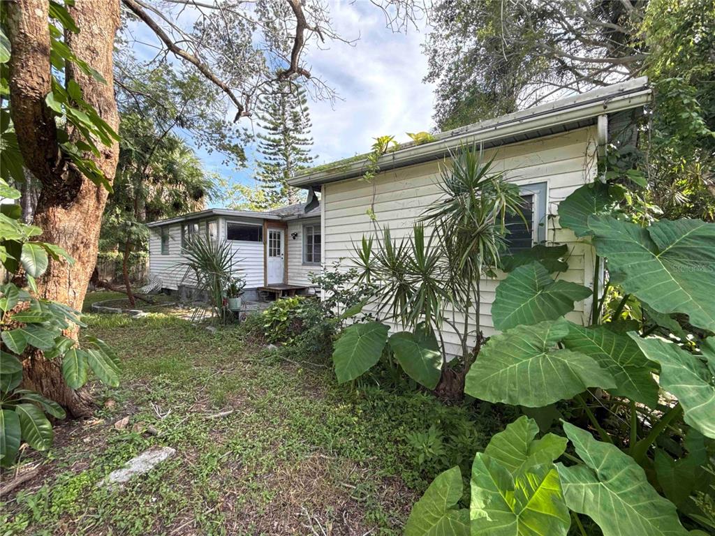 A white, single-story house exterior is surrounded by large green plants and mature trees — 7011 HIBISCUS AVENUE S, SOUTH PASADENA, FL