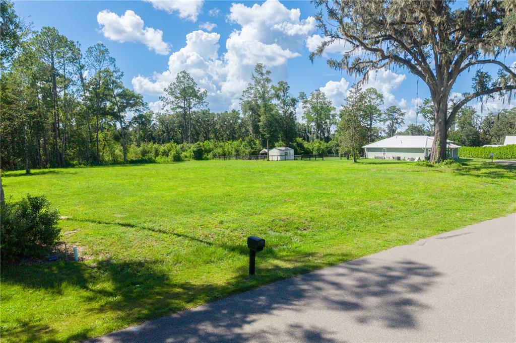 SW 9TH ST, WILLISTON, FL — photo 3 of 10
