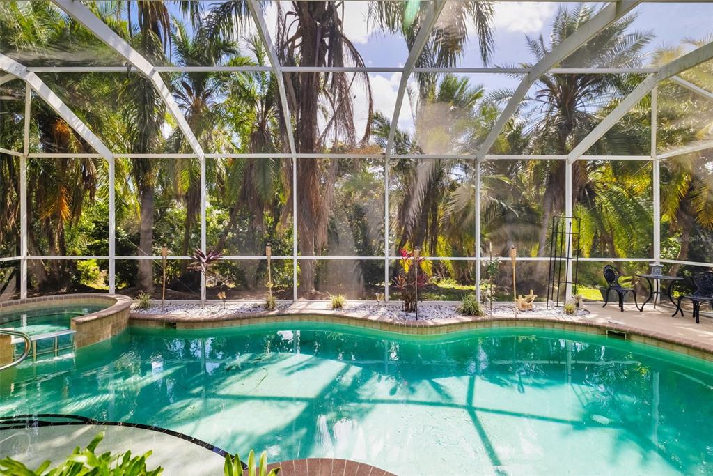 A screened-in swimming pool and spa area surrounded by lush palm trees — 3839 59TH AVENUE CIRCLE E, ELLENTON, FL