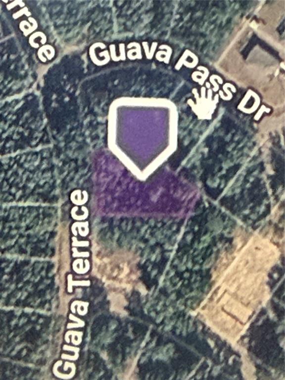 GUAVA TERRACE, OCKLAWAHA, FL — photo 3 of 3