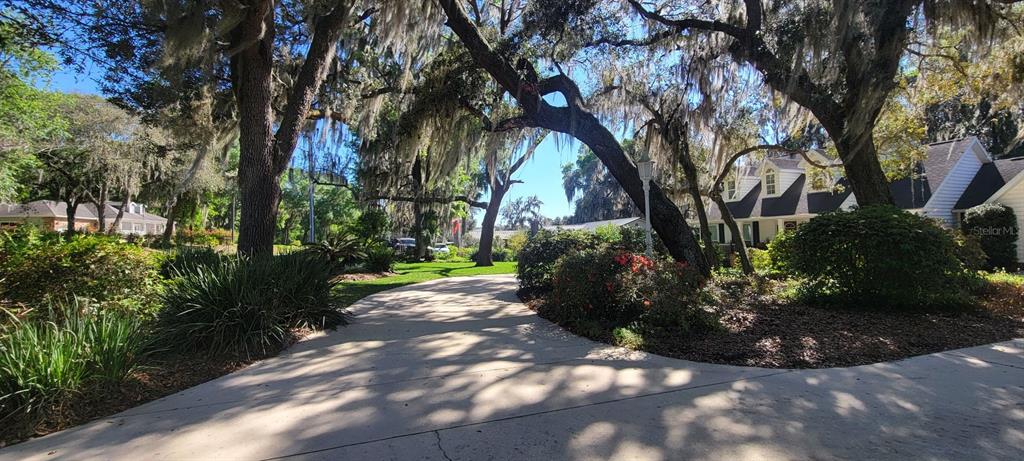 A paved driveway winds through a lush, tree-lined yard toward a house with dormer windows — 436 SE 4TH AVENUE, MELROSE, FL