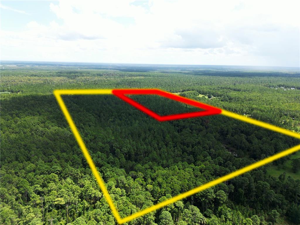 An aerial view shows a large, forested plot of land outlined in yellow and red — 2220 OLD TRAIN ROAD, DELTONA, FL