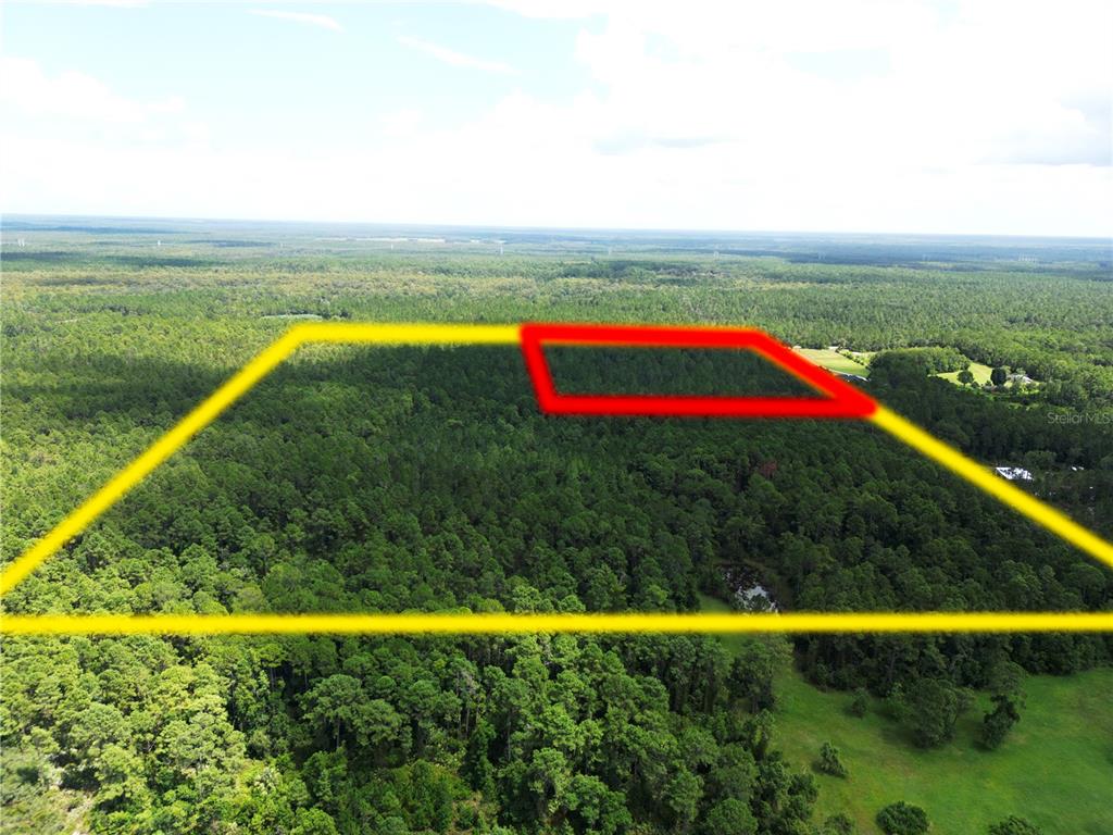 An aerial view shows a large, forested plot of land outlined in yellow and red — 2220 OLD TRAIN ROAD, DELTONA, FL