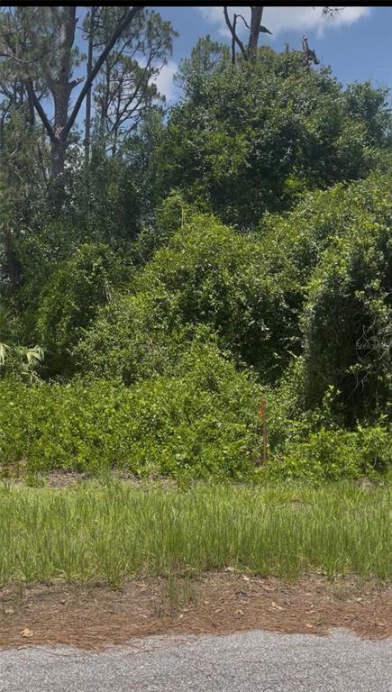 A dense, overgrown wooded lot viewed from a paved road with a small orange survey marker — TEPEE AVENUE, NORTH PORT, FL