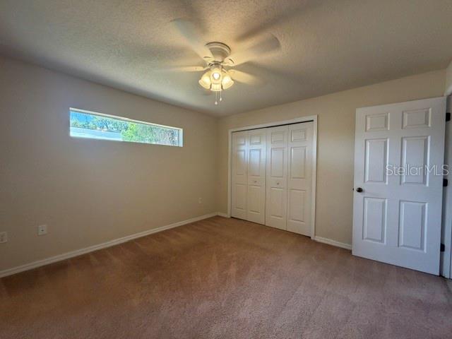 A bedroom features beige carpet, a ceiling fan, a horizontal window, and white closet doors — 33 E ST LOUIS AVENUE, EUSTIS, FL