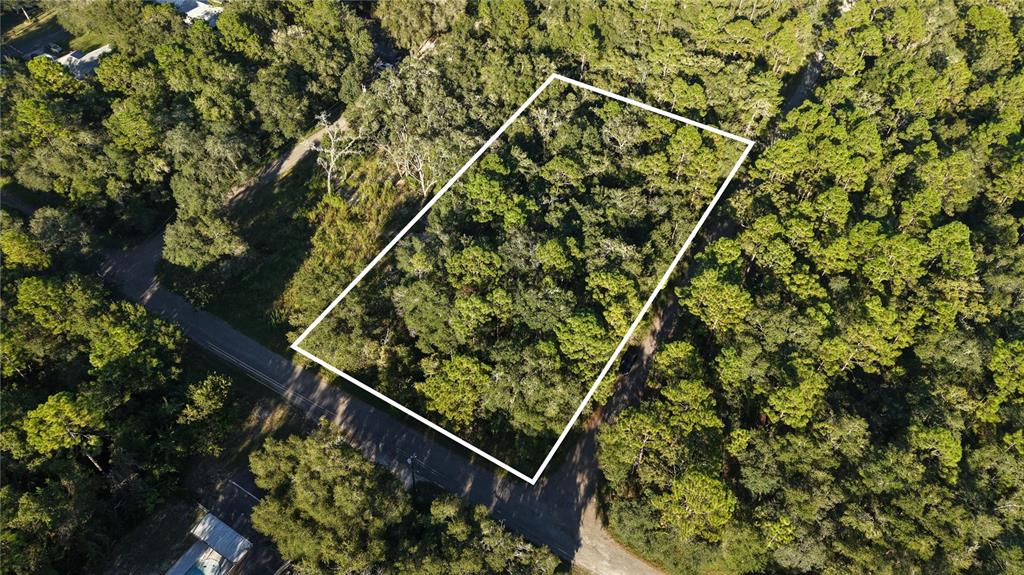 3109 E MILLSIDE LANE, INVERNESS, FL — photo 3 of 26